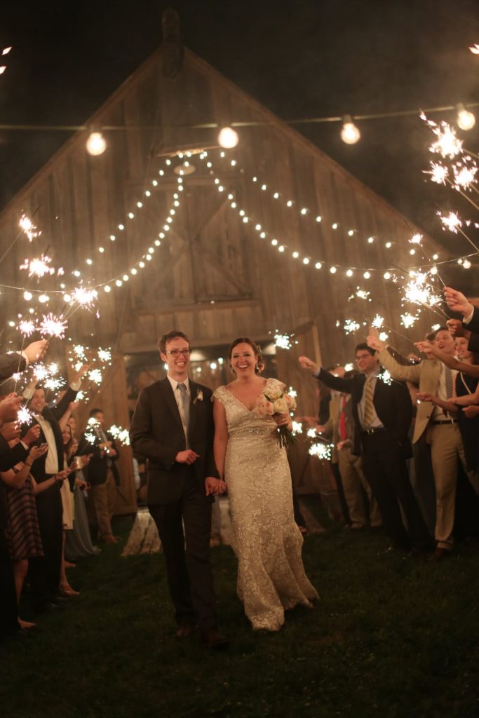 David Austin Roses J&D Farms HotHouse Design Studio