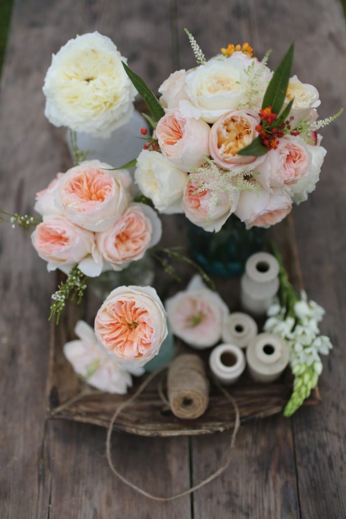 Hot House Design Studios David Austin Roses